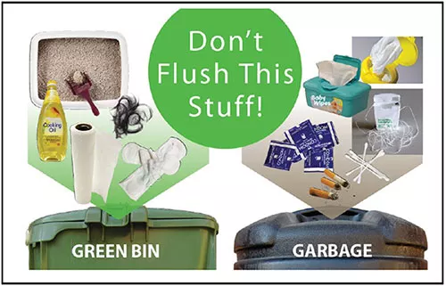 do not flush these items