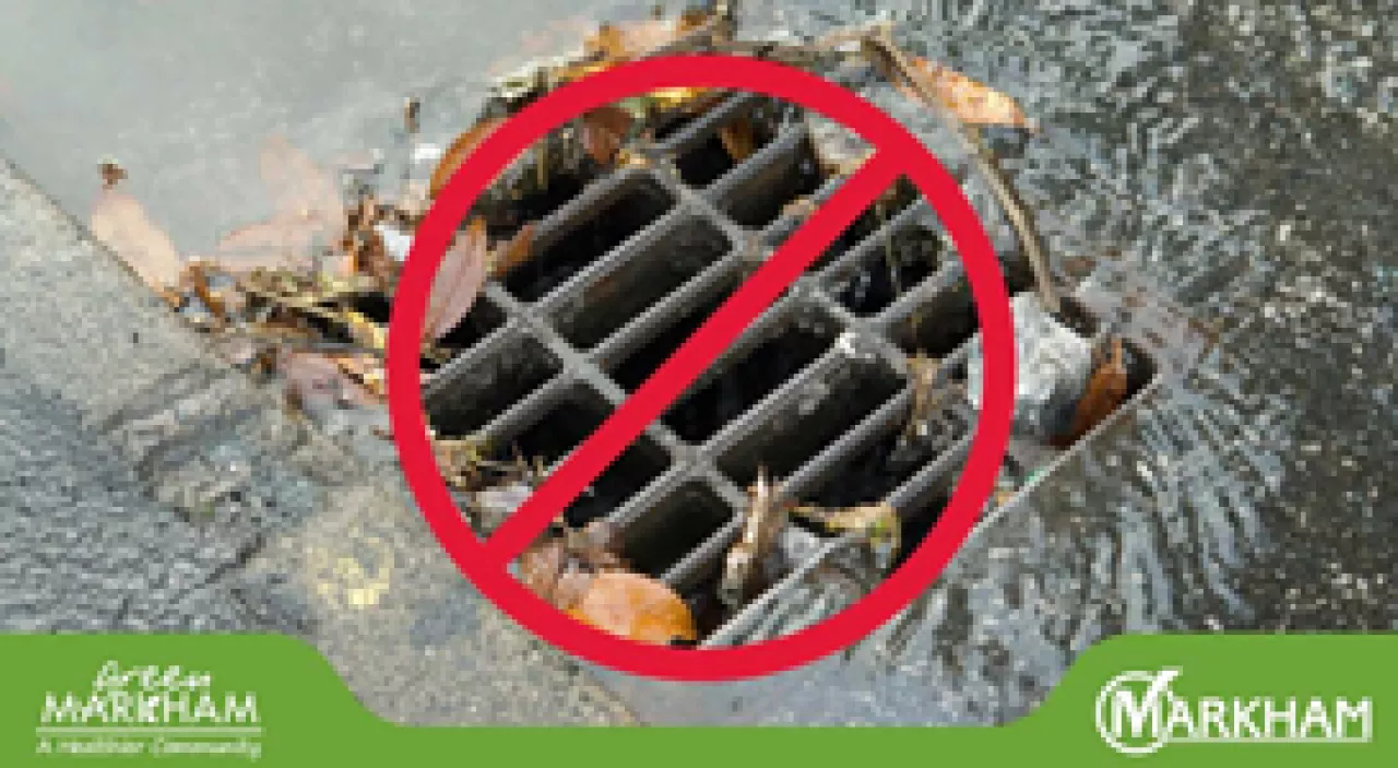 do+not+drain