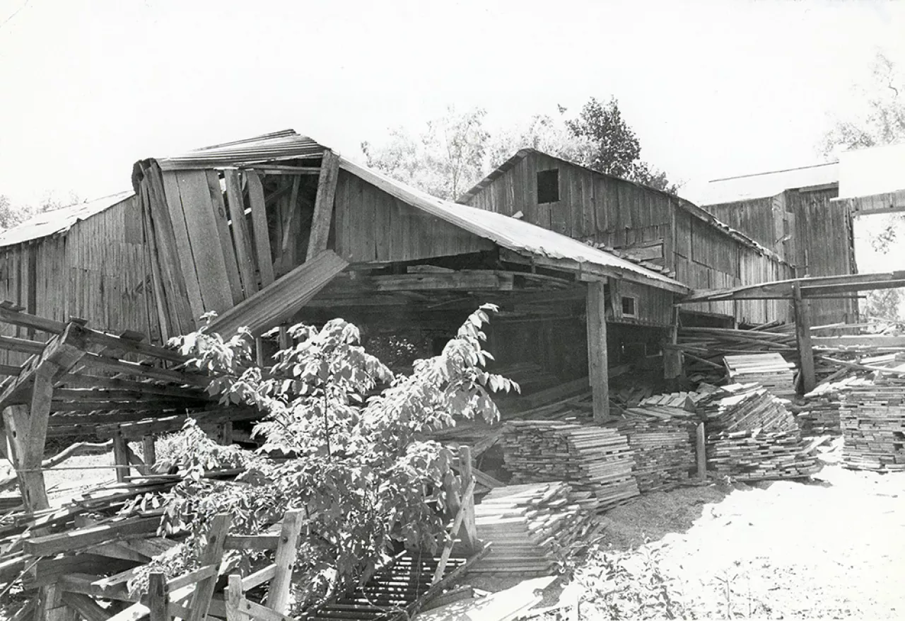 sawmill