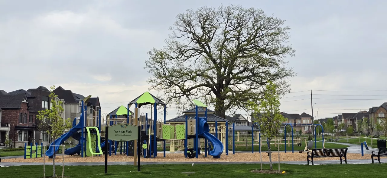 BUR OAK