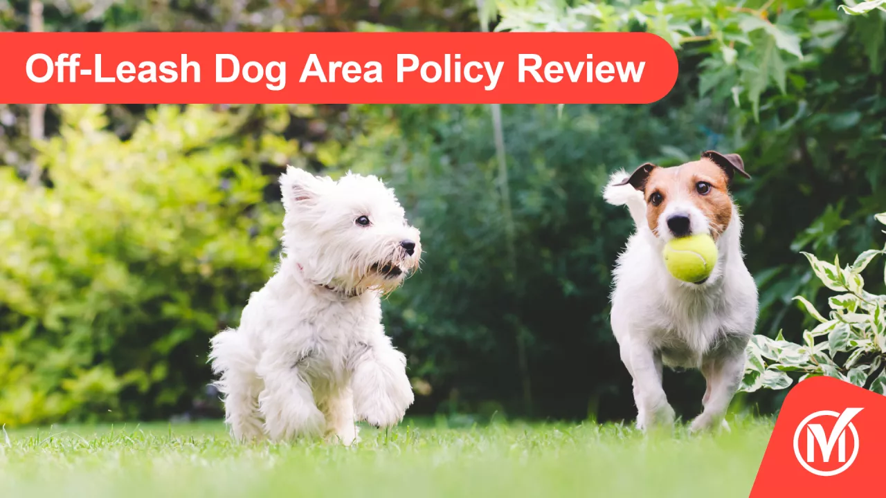 Two dogs chasing each other. Text reads "Off-Leash Dog Area Policy Review"
