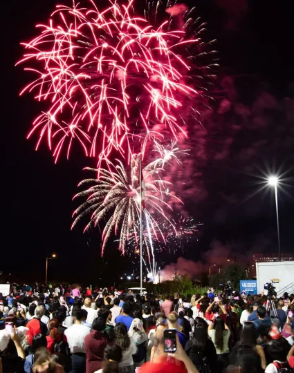 Crowd outdoors watching fireworks in night sky.