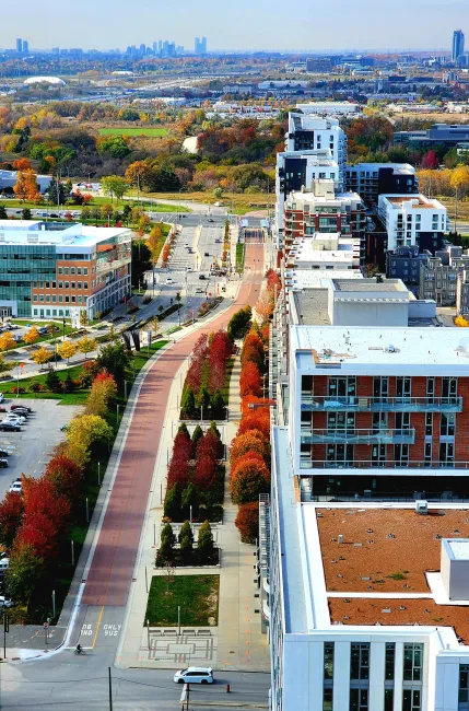 Tree-lined path through a city with buildings on both sides.