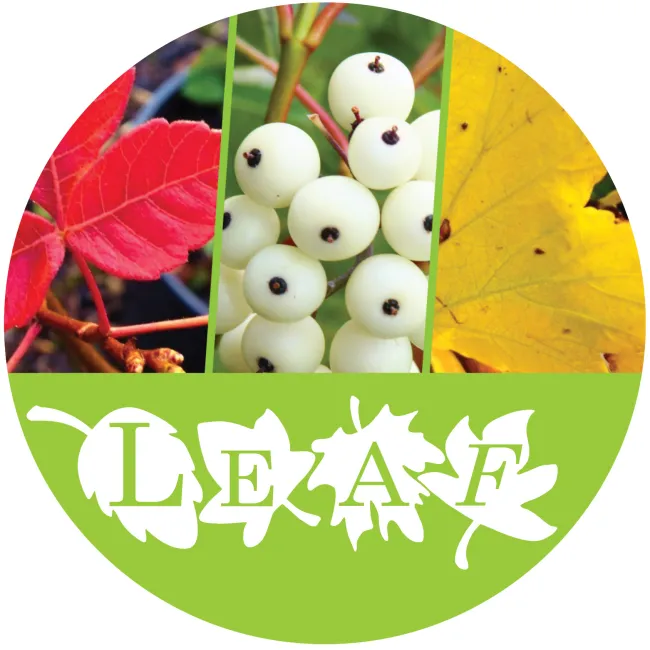 Image of LEAF logo and 3 seasonal plants